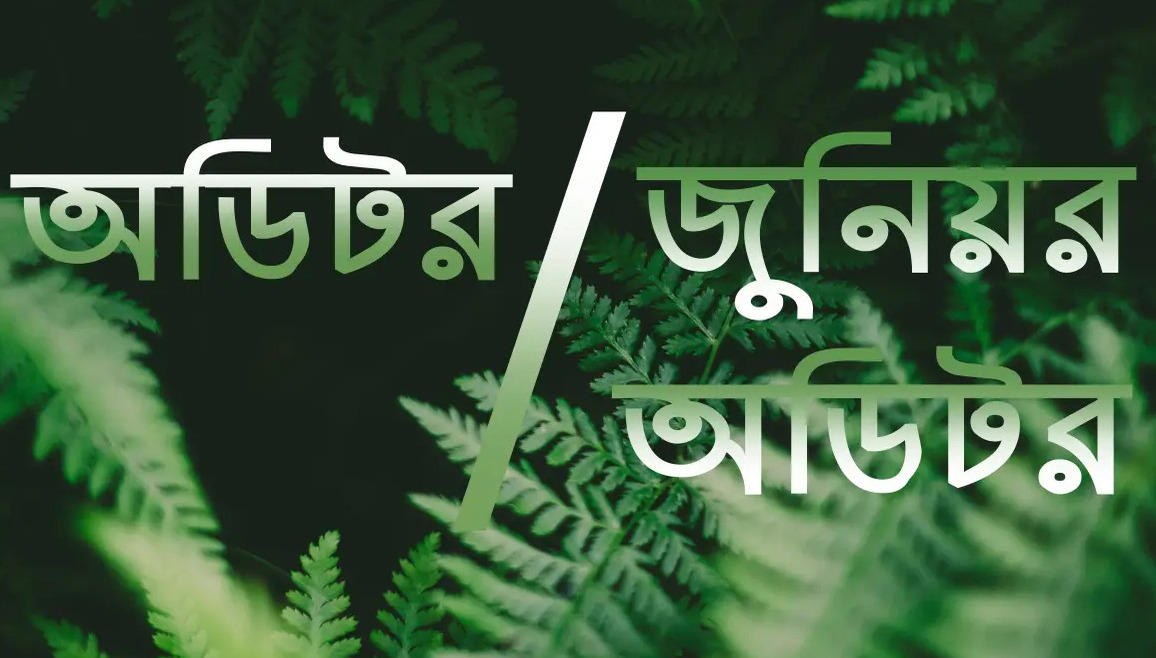 জুনিয়র অডিটর বা অডিটর এর কাজ ও যোগ্যতা সম্পর্কে
