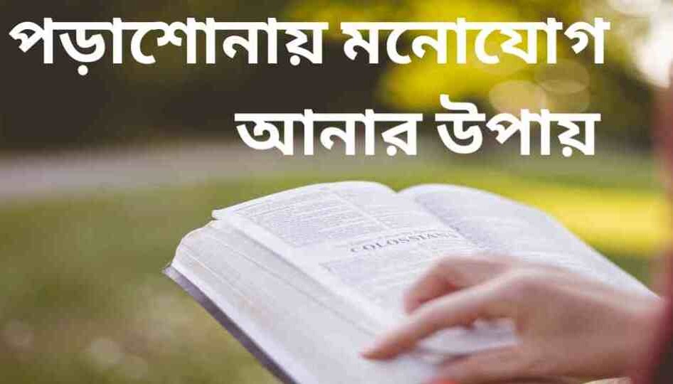 কিভাবে পড়াশোনায় মনোযোগী হবেন